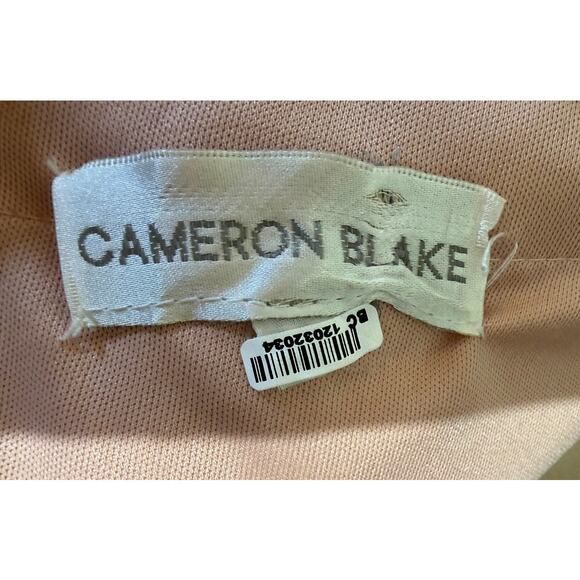 Cameron Blake Mother of Bride Formal Dress Gown 10 - Picture 10 of 16